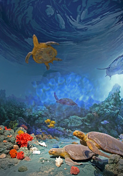 海底世界模型