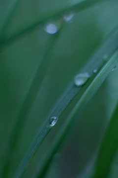 新雨過后