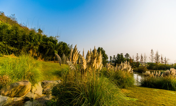 街子古鎮(zhèn)