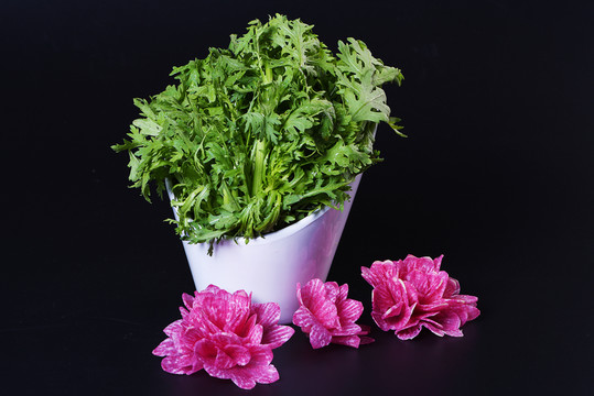 生菜