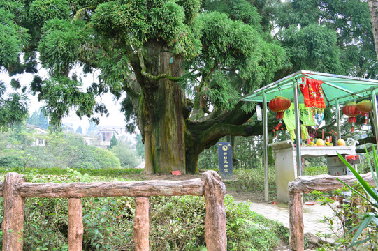 鼓嶺