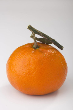 橙色的Tangerine夜店