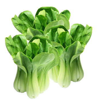 大白菜