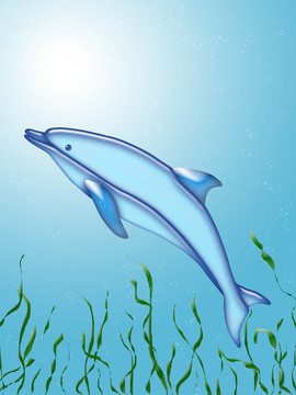 海豚與藻類在水下游泳