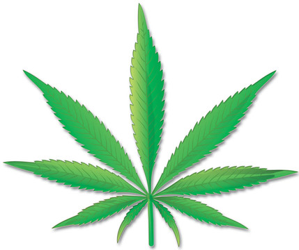 白底大麻葉