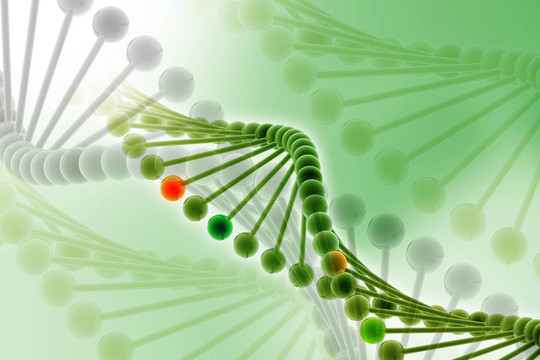 DNA