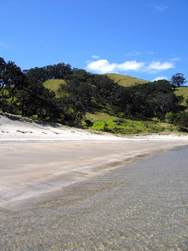 Whangapoua海灘；大屏障島；新西蘭