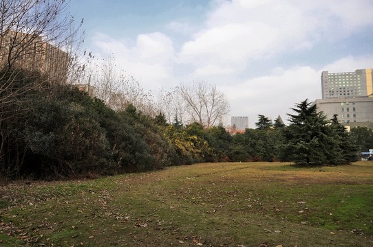 城市公園