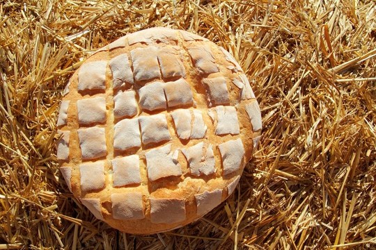 金色麥稈上的面包小圓面包