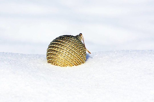 雪中圣誕舞會
