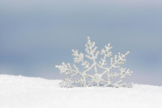 雪花在雪中
