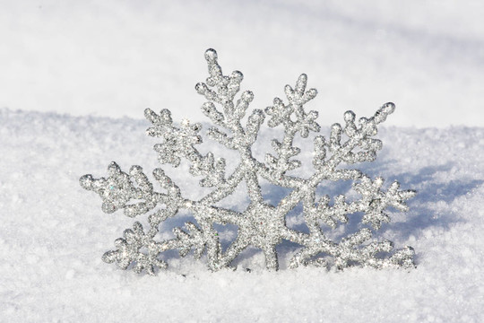 雪花中美麗的銀雪花