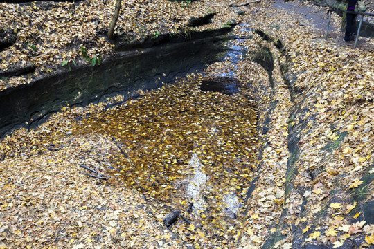 饑餓巖石州立公園池塘
