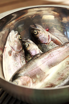 鱒魚