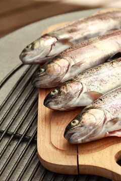 鱒魚