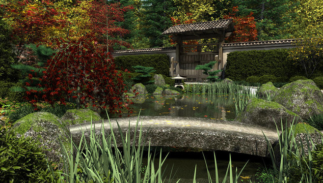 日本花園和池塘；秋天