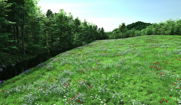 開(kāi)花草甸和溪流