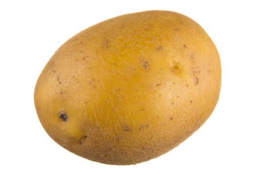 生土豆