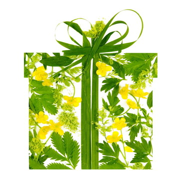 鮮花禮盒