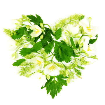 Flowers和樹葉做成的心