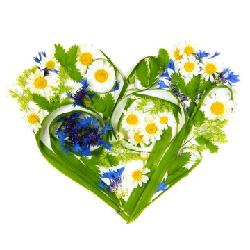 Flowers和草的心
