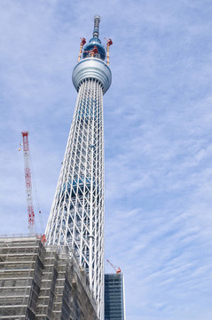 東京天空樹