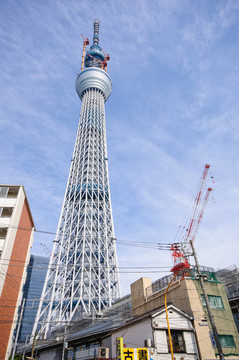 東京天空樹