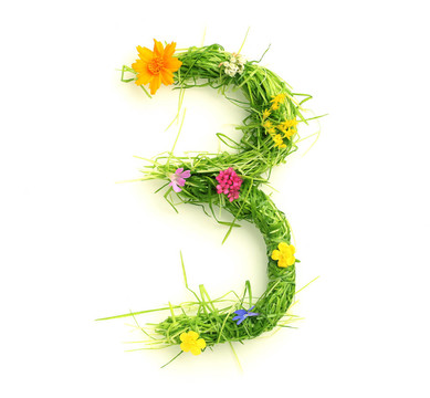 花和草做成的數(shù)字