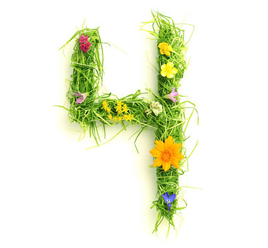 花和草做成的數(shù)字