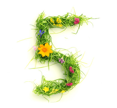花和草做成的數(shù)字