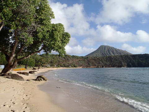 hanamau灣海灘在距離kokohead