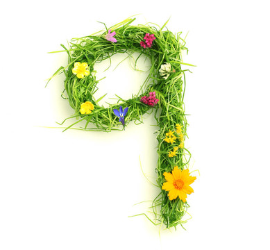 花和草做成的數(shù)字