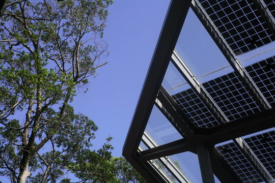 太陽(yáng)能電池板和綠色