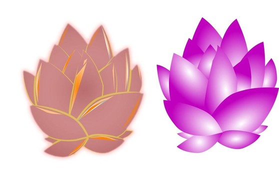 白蓮花