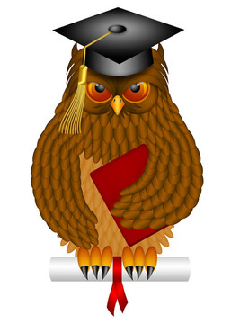 聰明的老貓頭鷹與Graduation Cap和文憑插圖