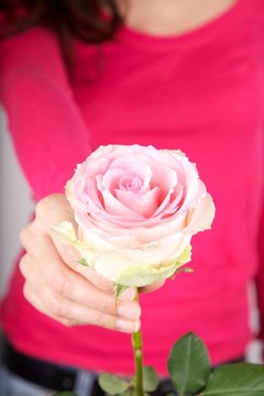 手上有花的女人細(xì)節(jié)
