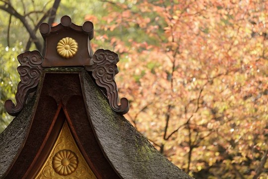 秋天的日本廟宇