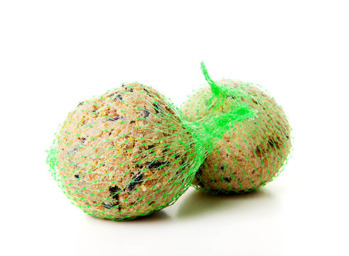 脂肪球；鳥(niǎo)類冬季食品