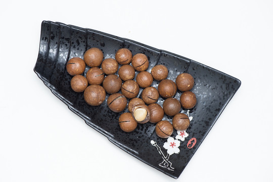 昆士蘭栗