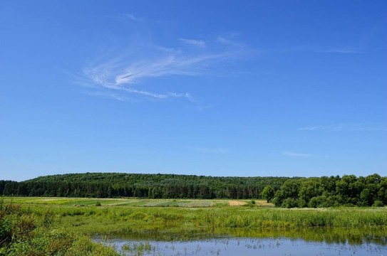夏天的風(fēng)景