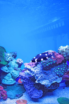 水族館