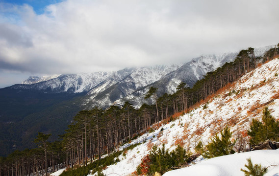 山