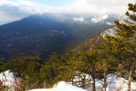 山