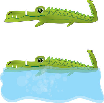 鱷魚