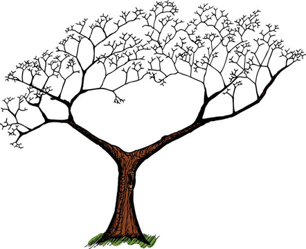 老Tree Over White