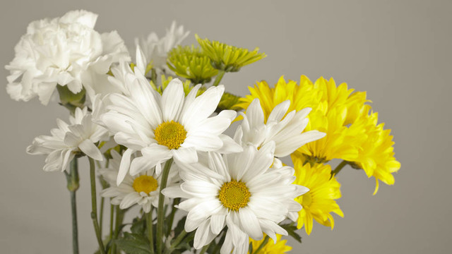 白色和黄色花