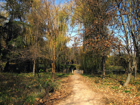 秋天的公園