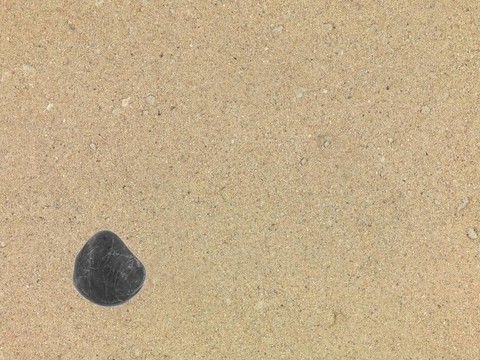 在海灘上