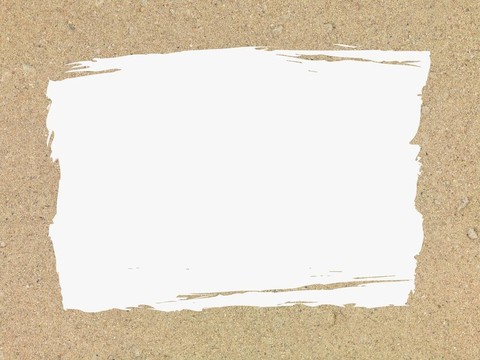 在海灘上