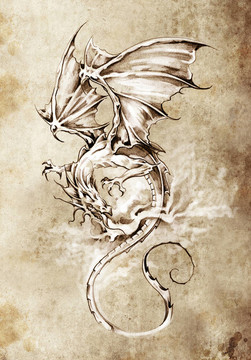 紋身藝術(shù)素描；經(jīng)典龍插畫